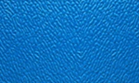 Blue Gem