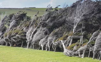 Resistencia al viento
