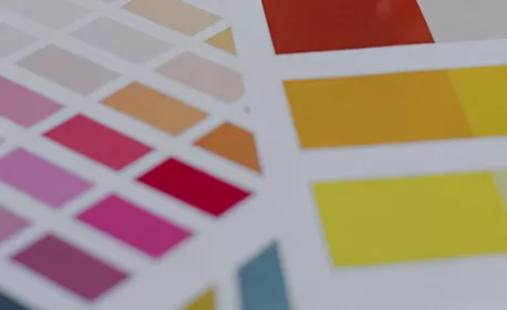 Color personalizado